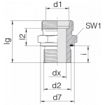 Соединение штуцерное 24-SDS-S38-G11/2E