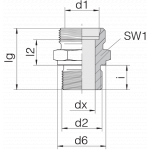 Соединение штуцерное 24-SDS-S38-G11/2B