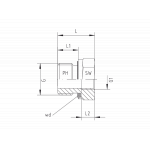BSP - Parallel - With Soft Sealing - Form A