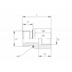 BSP - Parallel - With Soft Sealing - Form B
