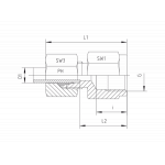 NPT - стандарт