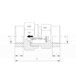 Обратный проходной клапан - внутренняя резьба
