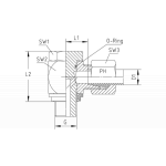 BSP - Parallel - WDS - SC